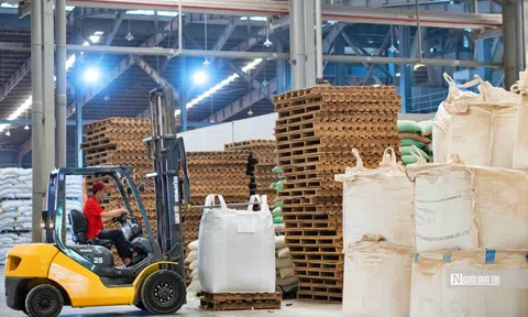 Hơn 200.000 lao động mất việc làm do doanh nghiệp thiếu đơn hàng