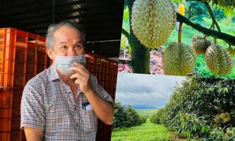 Bỏ túi trăm tỷ trong ngày thị trường lao dốc, bầu Đức nắm giữ bao nhiêu tiền?