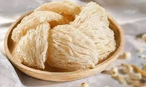 Kích hoạt thị trường Trung Quốc cho xuất khẩu tổ yến Việt Nam