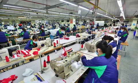 Kim ngạch xuất khẩu giảm, doanh nghiệp dệt may đẩy mạnh tìm thị trường