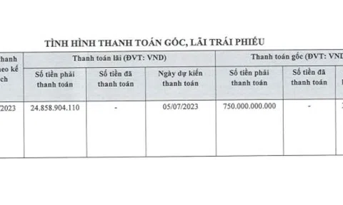 Bất động sản Ngọc Minh có nợ trái phiếu gấp 11 lần vốn chủ, xin lùi thời hạn thanh toán