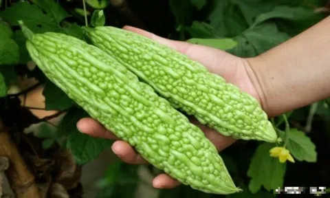 Bị tiểu đường nên ăn những thực phẩm sau để kiểm soát bệnh hiệu quả