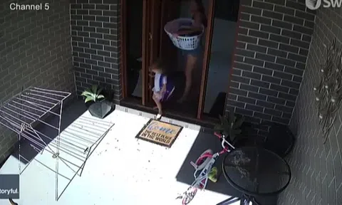 Clip: Người mẹ cứu con thoát khỏi rắn độc trong gang tấc khiến người xem kinh hoàng