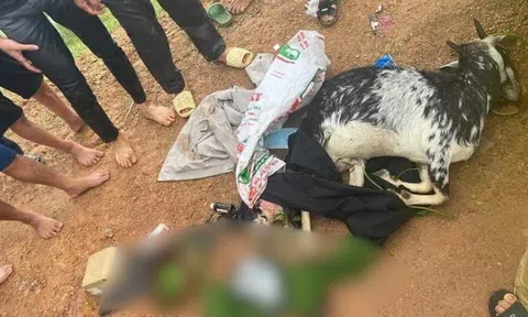 Khởi tố, bắt tạm giam 3 cựu cán bộ công an bắn chết dê của dân