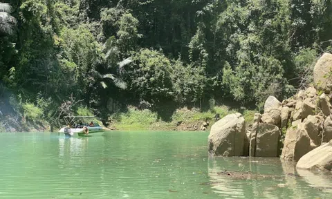 Quảng Nam: Gian dối hồ sơ, một công ty bị cấm đấu thầu