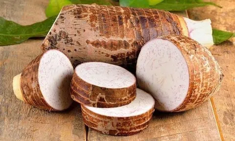 Loại củ được xem là “thuốc bổ rẻ tiền” nhưng ít người biết