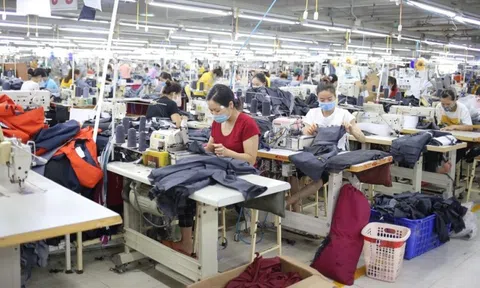 Nghệ An: Kỳ vọng phục hồi thị trường xuất khẩu truyền thống