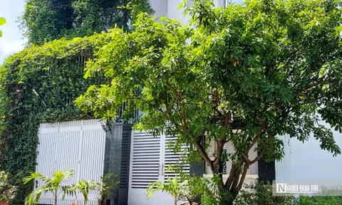 Tp.HCM, chủ đầu tư chây ì, “treo” dự án hơn 20 năm- Bài 2: Công ty chuyên …“ngâm” dự án