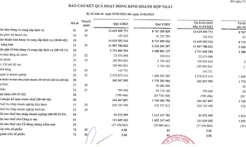 Công ty Vinam bị phạt 150 triệu do tự ý đổi phương án sử dụng vốn