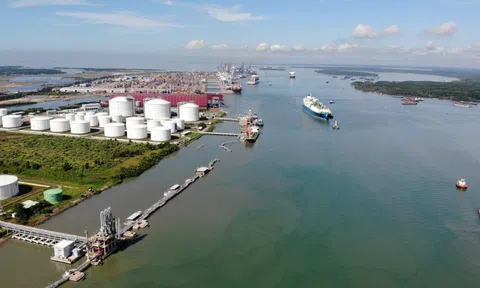 Petrovietnam ngược dòng thị trường, hiện thực khát vọng tăng trưởng