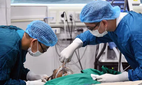 Viện phí điều chỉnh theo mức tăng lương cơ sở, người dân sẽ ảnh hưởng thế nào?