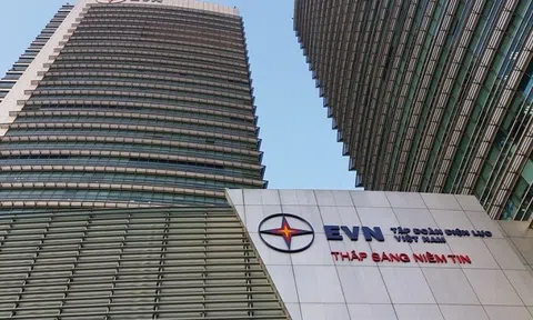 EVN giao vốn điều lệ cho các Tổng Công ty khi chưa được phê duyệt chủ trương