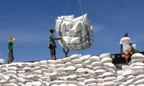 Giá gạo Việt Nam xuất khẩu tăng 9%, điểm sáng trong bức tranh xuất khẩu