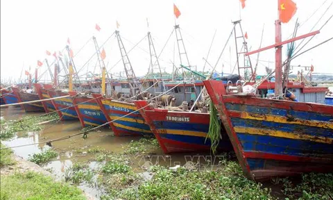 Các tỉnh kêu gọi tàu, thuyền ở khu vực nguy hiểm về nơi tránh, trú an toàn ứng phó với bão số 1