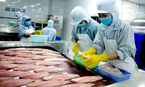 Kỳ vọng bức tranh xuất khẩu thủy sản sẽ "sáng" hơn từ nửa cuối năm 2023