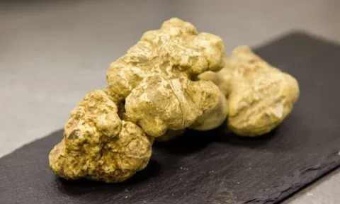 Top 10 loại thực phẩm đắt đỏ nhất thế giới