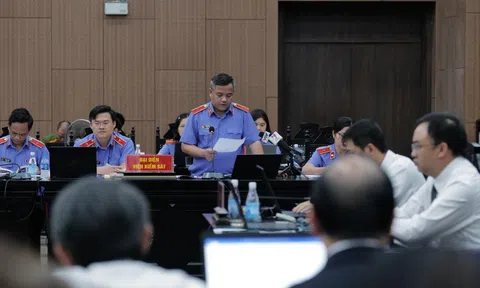 Vụ bay giải cứu: Đề nghị xem xét trách nhiệm của Thứ trưởng Bộ Y tế