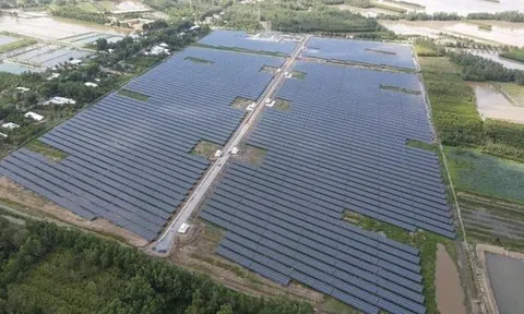 "Ém" thông tin, CTCP Điện mặt trời VKT – Hòa An bị xử phạt 85 triệu đồng