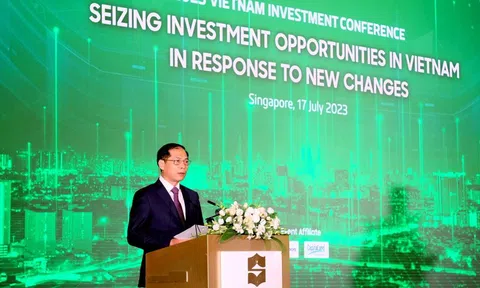 Nắm bắt cơ hội đầu tư tại Việt Nam trong bối cảnh mới