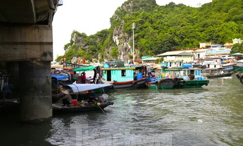 Tin thời sự mới nóng nhất ngày 18/7: Đơn vị thoát nước Hà Nội tổ chức ứng trực 24/24h, đối phó bão số 1