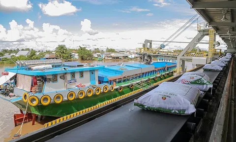 Giá phân bón nhập khẩu giảm mạnh