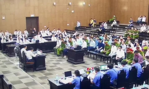 Cựu đại sứ Trần Việt Thái nói bị tố cáo do "đạp đổ nồi cơm của cò mồi"