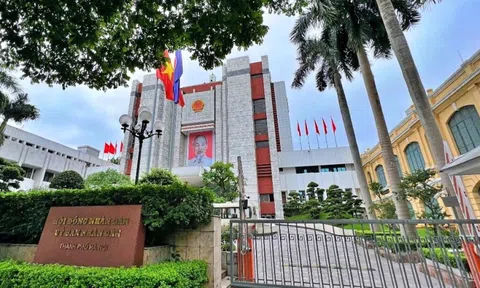 Gần 400 cán bộ, công chức, viên chức bị kỷ luật trong 6 tháng đầu năm