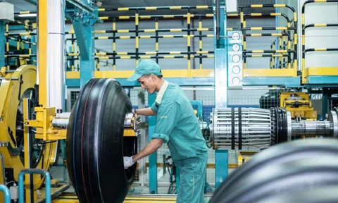 Cao su Đà Nẵng mới hoàn thành 28,9% kế hoạch lợi nhuận năm