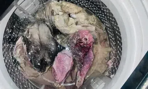 Dùng máy giặt để rửa thịt sống, cô gái khiến cư dân mạng "khóc thét"