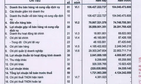 Tập đoàn Meey Land của ông Hoàng Mai Chung: Vốn chủ sở hữu 30 tỷ đồng, nợ phải trả lên tới hơn 590 tỷ đồng
