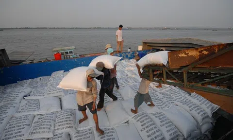 Bộ Công Thương chỉ đạo hỏa tốc trước việc Ấn Độ cấm xuất khẩu gạo