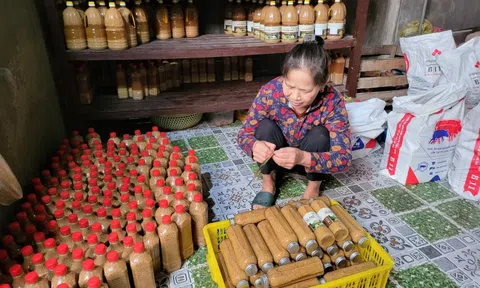 Nghệ An: Bài toán cho nâng cao chất lượng, thương hiệu sản phẩm OCOP