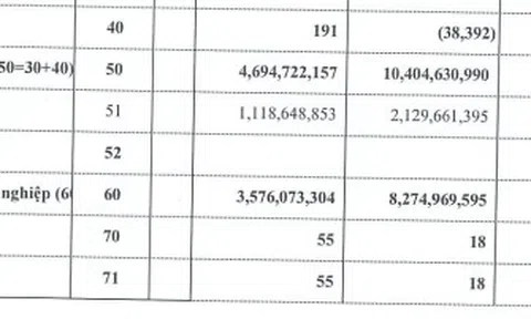 Alphanam E&C: Lợi nhuận quý 2/2023 giảm mạnh, thế chấp xe Bentley Mulsanne tại BIDV