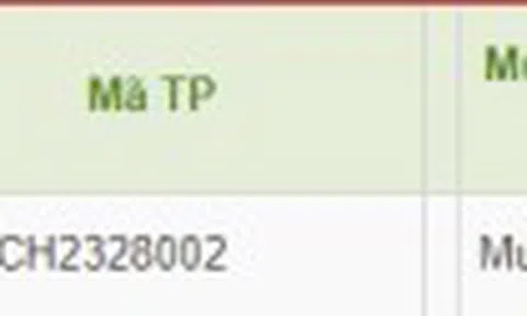 Trung Minh phát hành trái phiếu trị giá 300 tỷ đồng