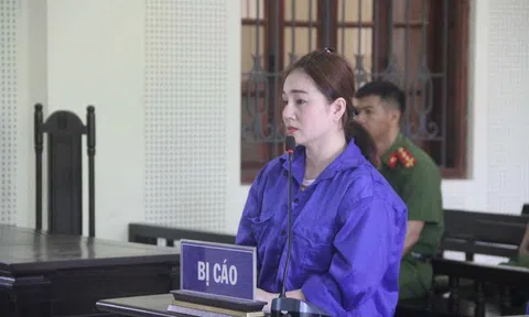 Chi hàng trăm triệu mua ma túy về bán và cho chồng sử dụng, người phụ nữ bị kết án 20 năm tù