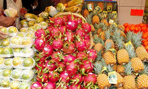 Những mặt hàng nông sản dự kiến xuất khẩu chủ lực trong nửa cuối 2023