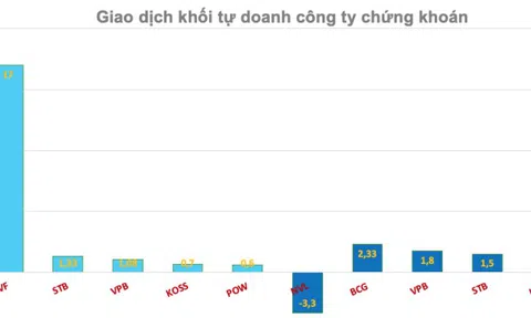 Các công ty chứng khoán mua hơn 4.400 tỷ đồng cổ phiếu trong chưa đầy 1 tháng