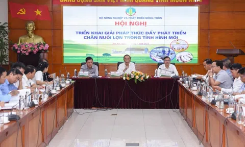 Việt Nam là quốc gia tiêu thụ thịt lợn lớn thứ 6 thế giới