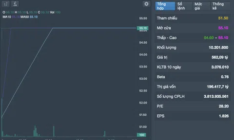 Cổ phiếu Vingroup tăng tím trần sau khi Vingroup công bố kết quả kinh doanh khởi sắc