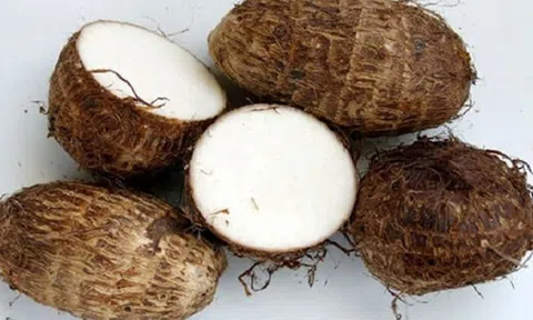 Loại củ trông xấu xí nhưng tốt cho tiêu hóa, phòng chống ung thư cực hiệu quả