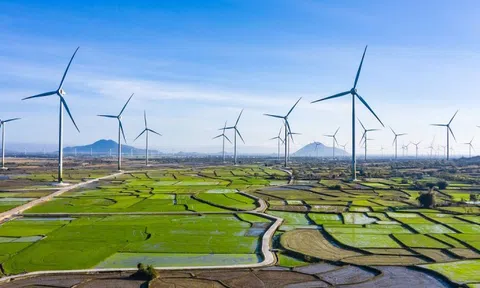 EVN nói gì về đề xuất mua bán điện trực tiếp không qua của Bộ Công Thương?