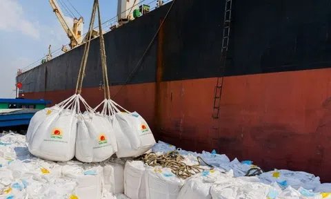 Bộ NN&PTNT trình Thủ tướng về việc xuất khẩu gạo