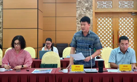 Vũ công nhảy múa trong lồng kính ở bãi biển Hạ Long: Quán bar bị xử phạt 12,5 triệu đồng