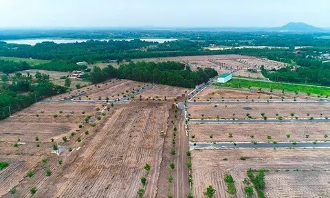 Bà Rịa -Vũng Tàu: Dự thảo quy định về điều kiện tách thửa, hợp thửa với từng loại đất sẽ có gì mới?