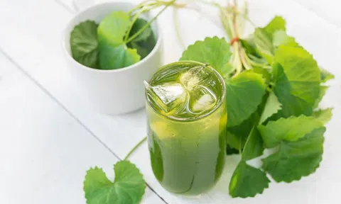 Loại rau mọc hoang được ví như "thảo mộc của tuổi thọ"