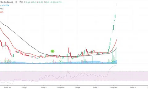 Angimex (AGM) nói gì về việc cổ phiếu tăng trần 10 phiên liên tiếp?