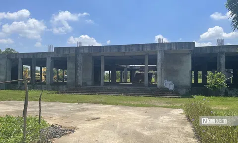 Quảng Ninh: Dự án Trung tâm dịch vụ thương mại um tùm cỏ dại