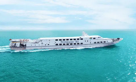 Vi phạm thuế, hãng tàu cao tốc ra Côn Đảo, Phú Quốc bị xử phạt hơn 300 triệu