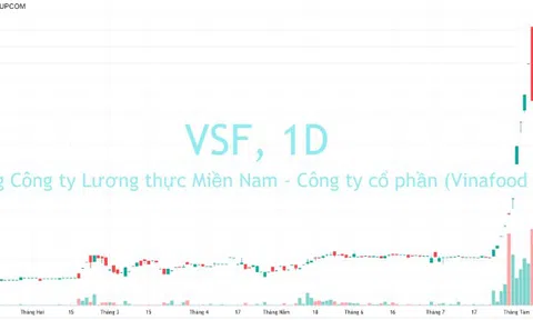 Lỡ “đu” trần phiên sáng, nhà đầu tư cổ phiếu VSF lỗ 30% trong phiên chiều