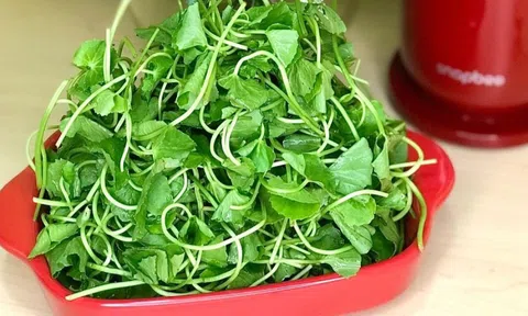 Nước ép rau má tốt đến mấy, những nhóm người sau cũng tuyệt đối không dùng